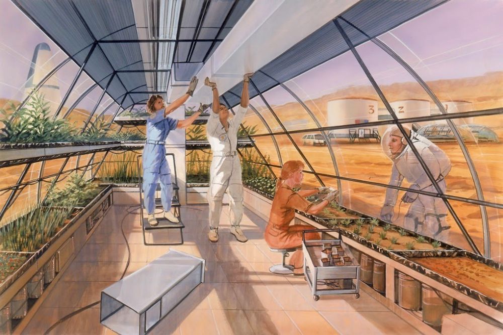 Mars greenhouse (Robert Murray)
