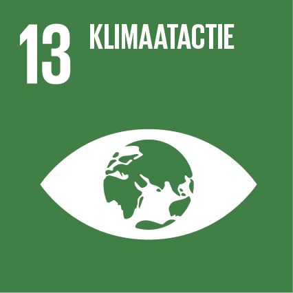 Logo SDG 13 logo: Klimaatactie