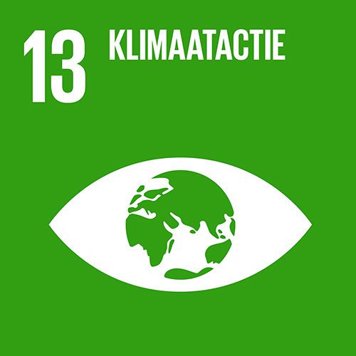 Logo SDG 13: Klimaatactie