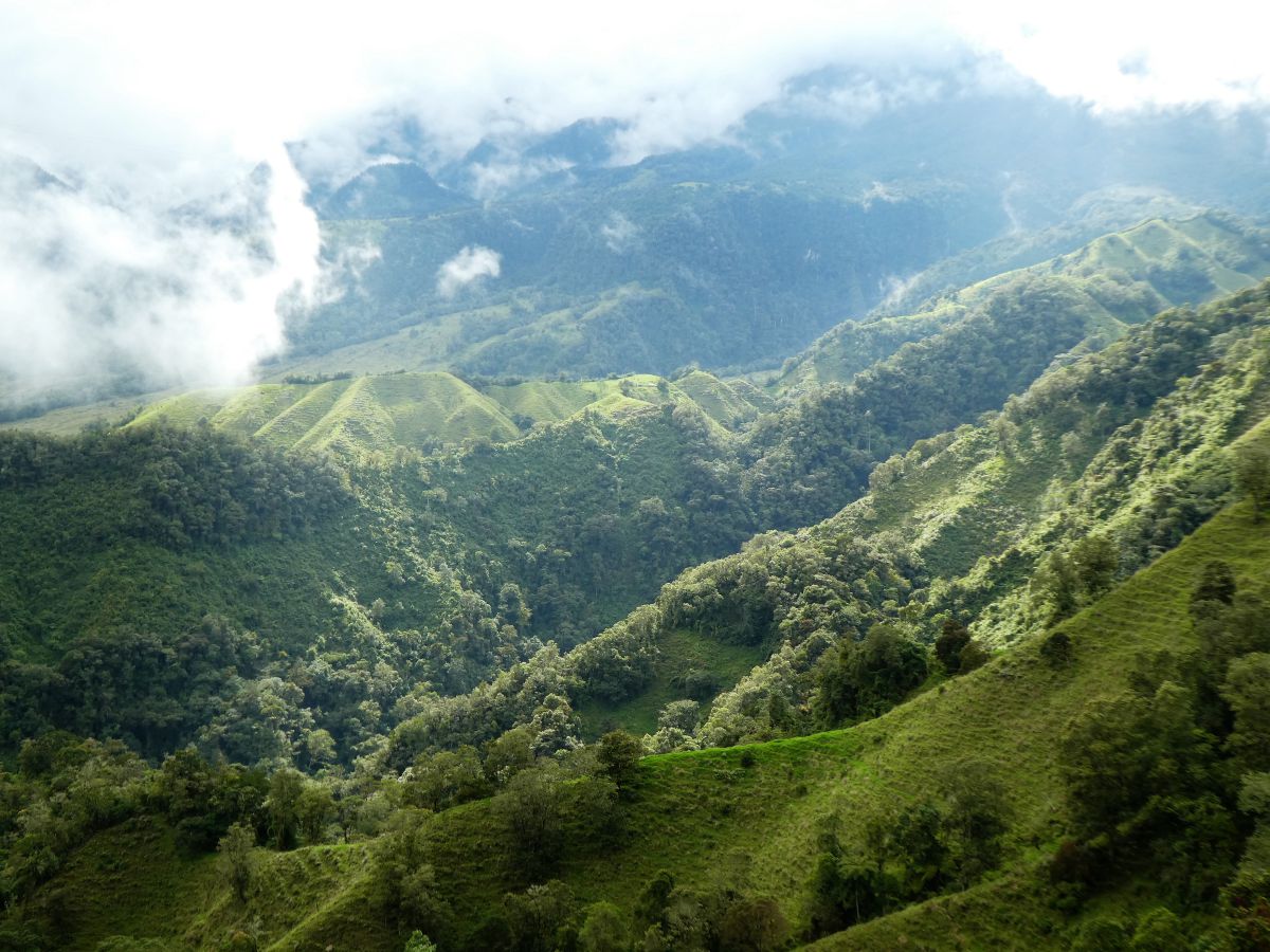 De Andes (Foto: Karin Anema)