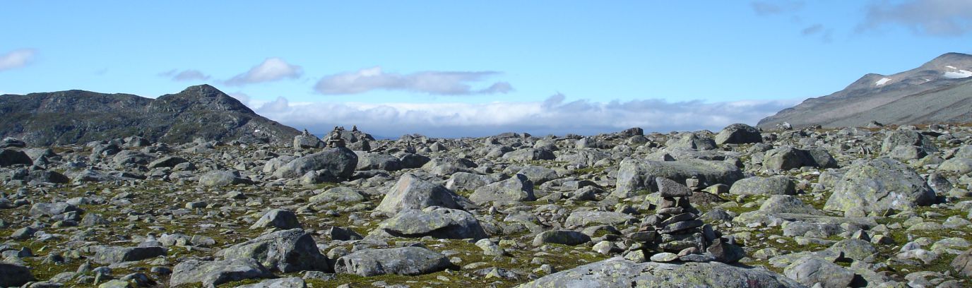 Stenen en zwerfkeien uit de IJstijd op Valdresflya