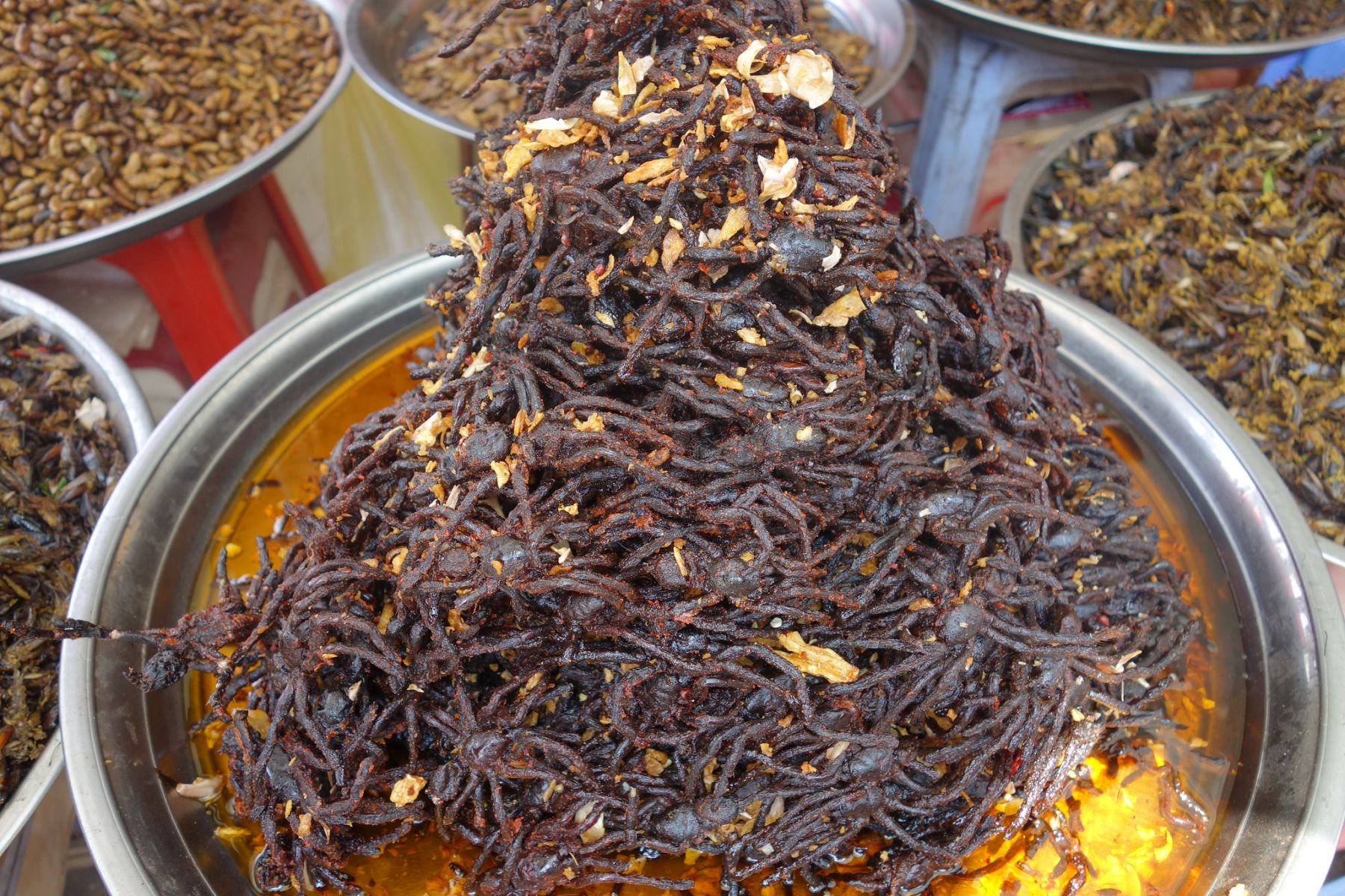 Insectenmarkt in Cambodja